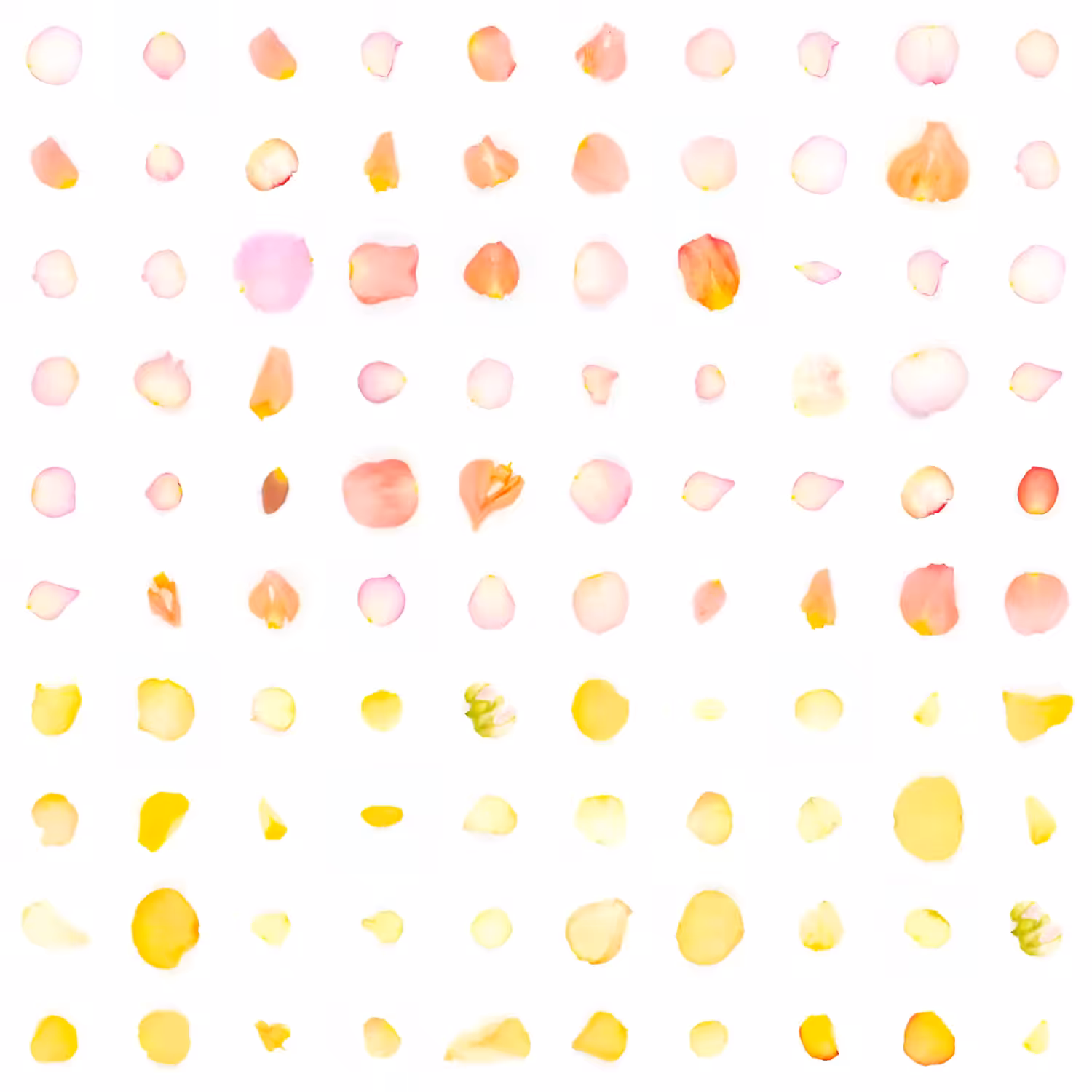 Infinite Petals 10x10#1364