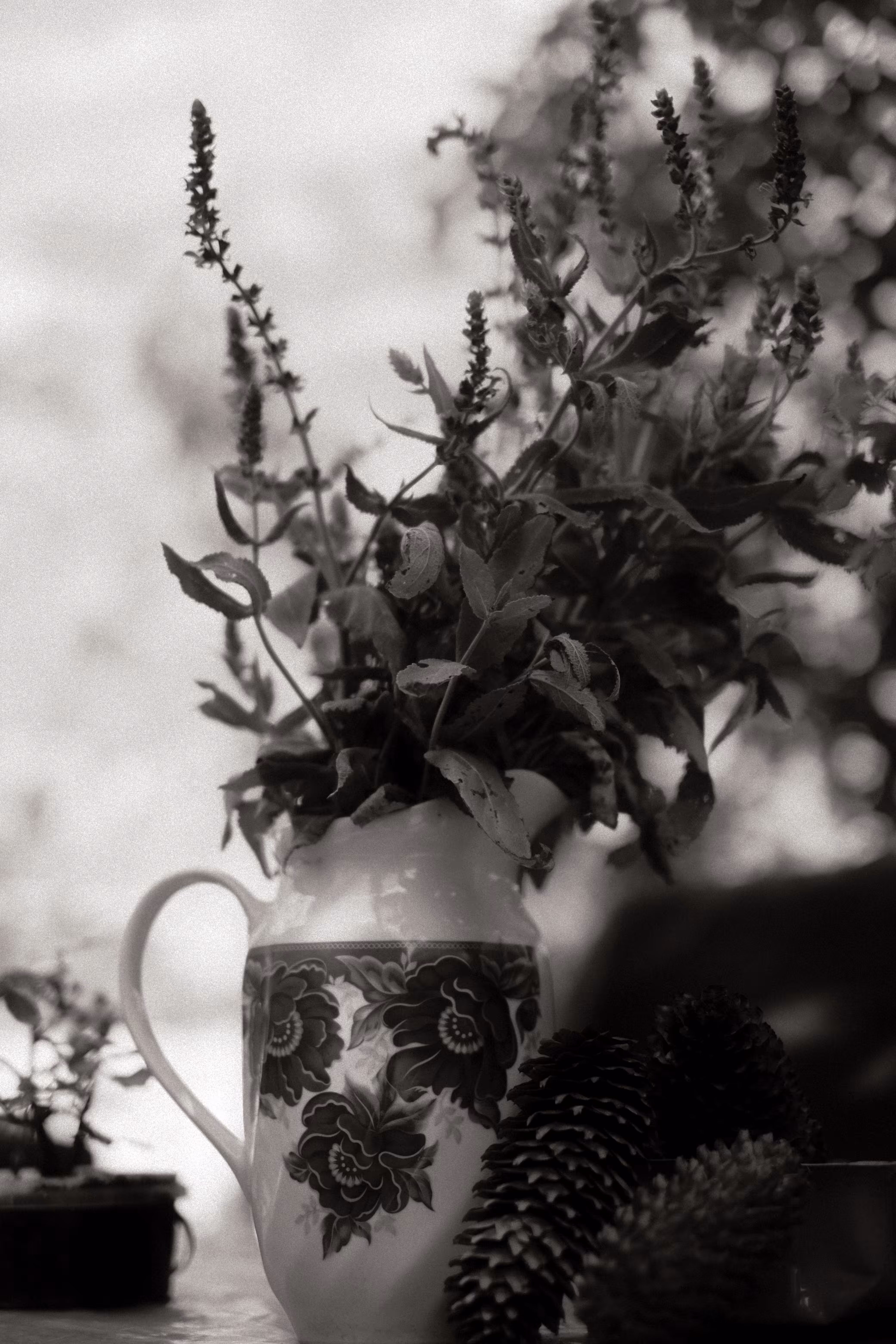 Vase with plants