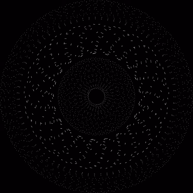 The Orbits #311