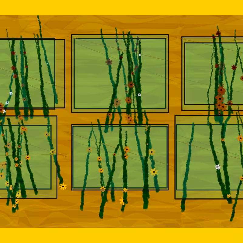 Flower Boxes #6