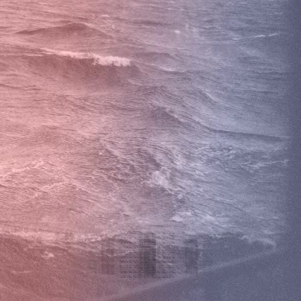 #62
