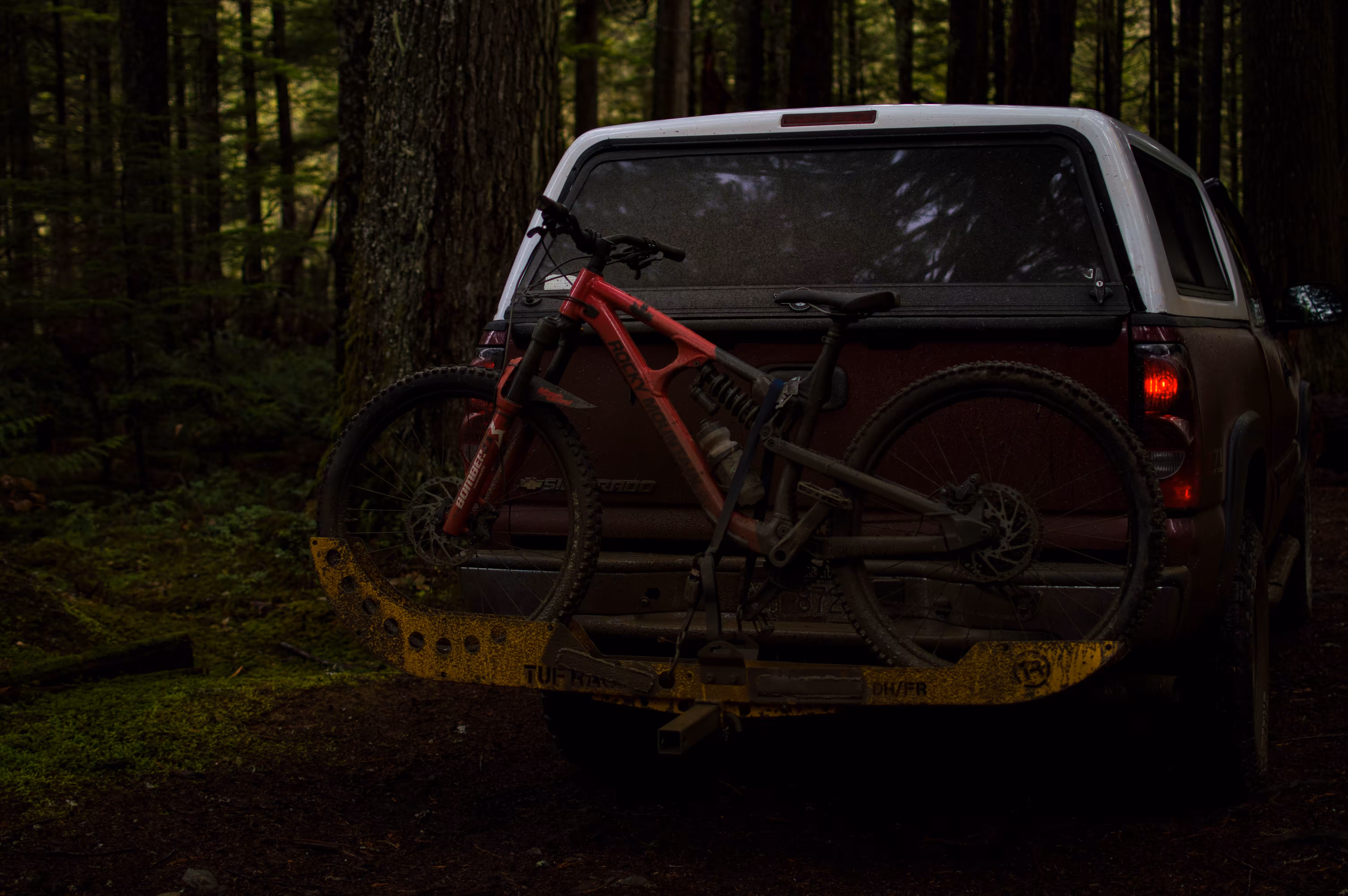In the woods