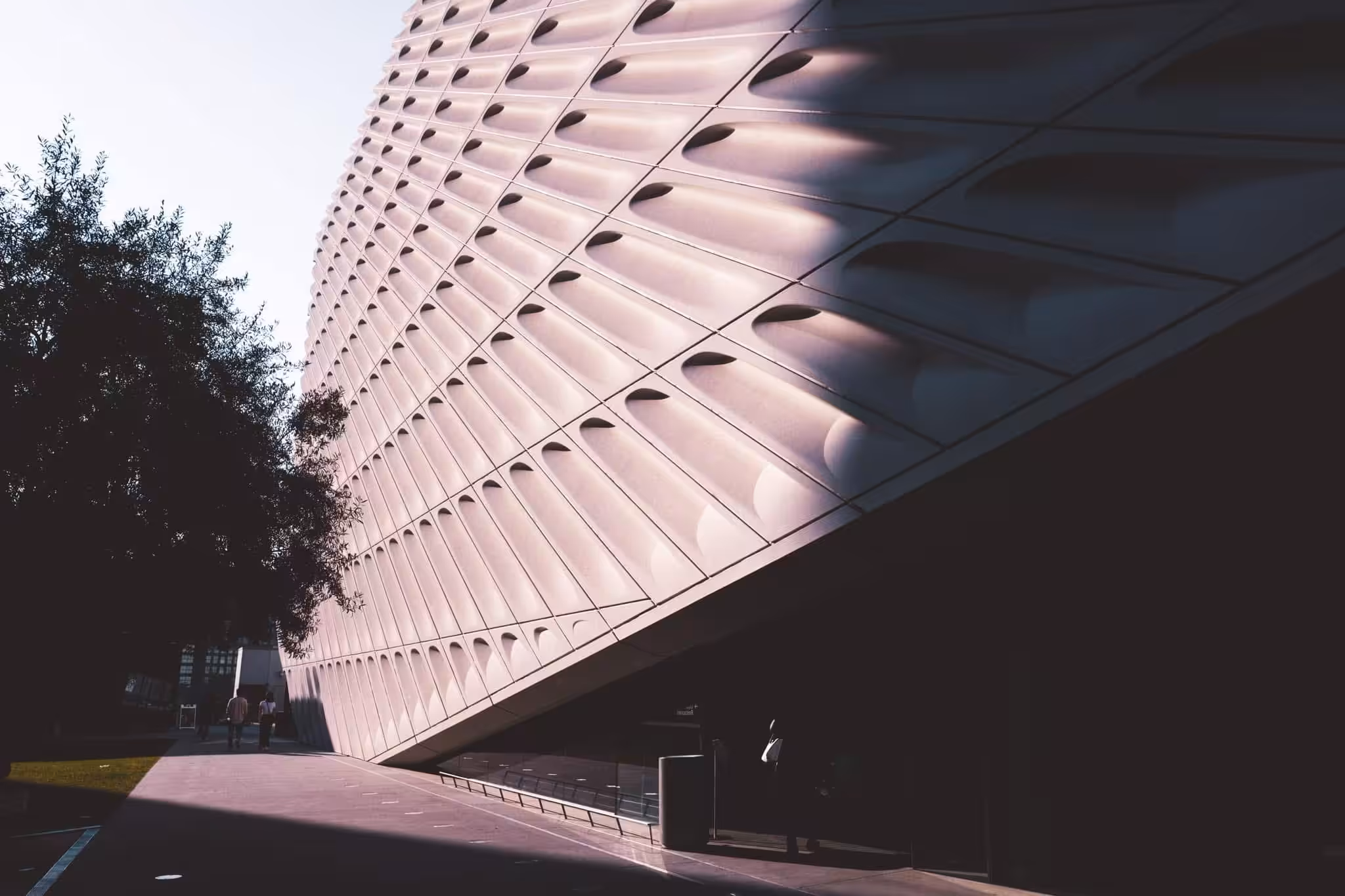 Rodeo posts: ⁶₂⁴ ₀₂₀₂▇🌳