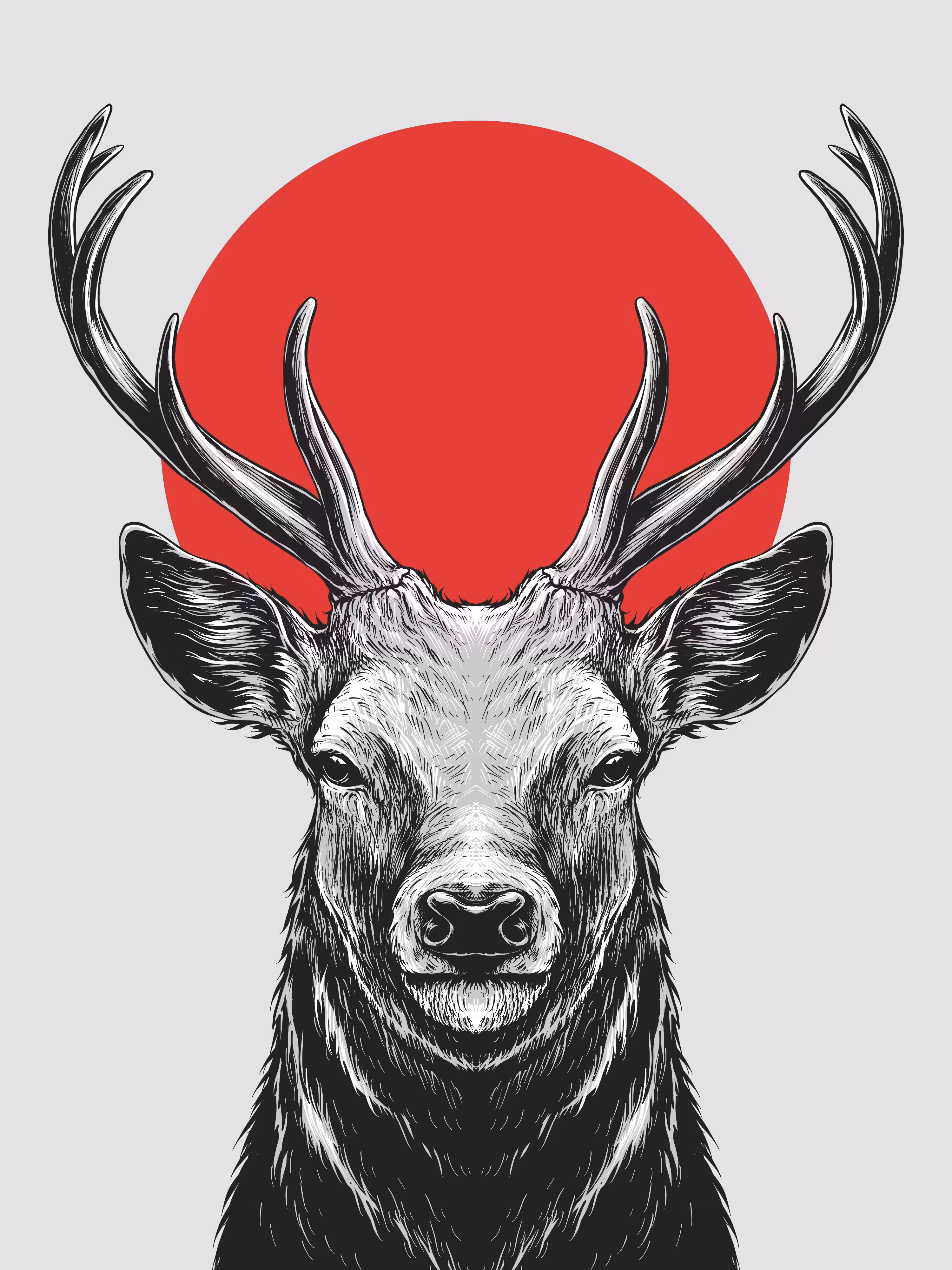 Rusa