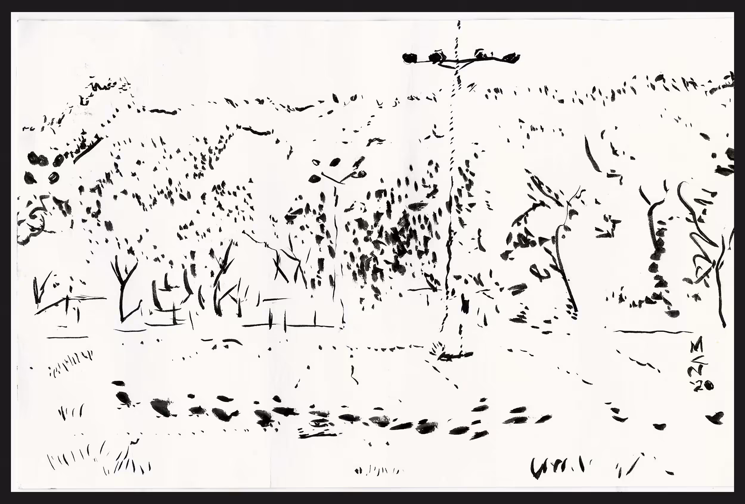 Cass Park Field