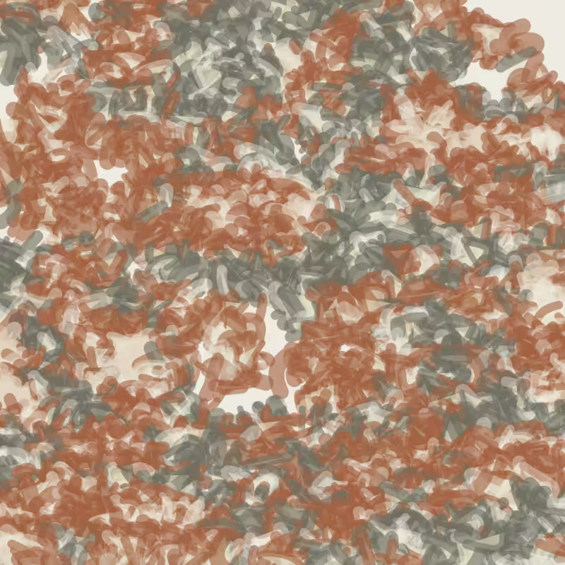 Petri 1500 #1318