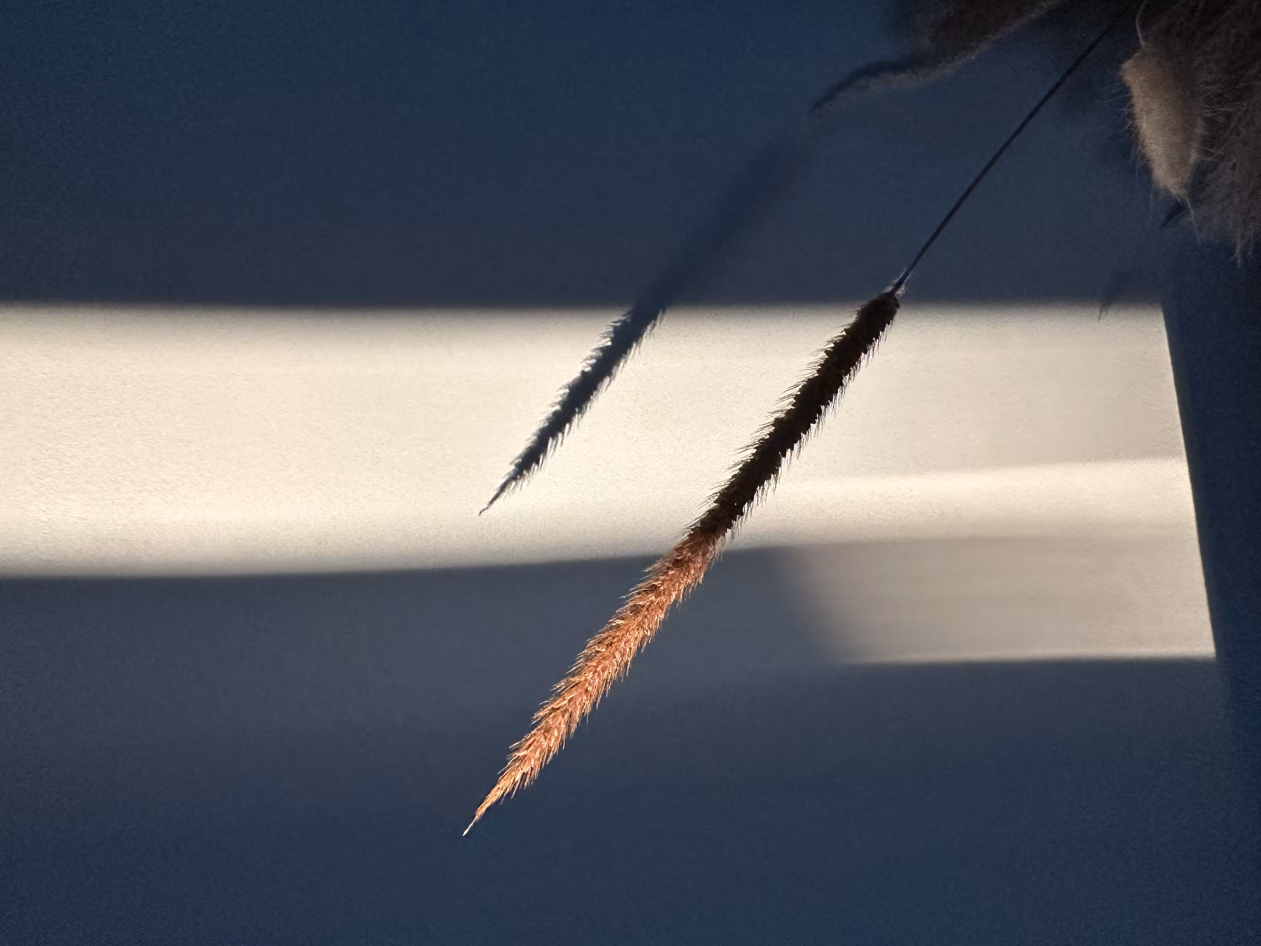 Breaking Light