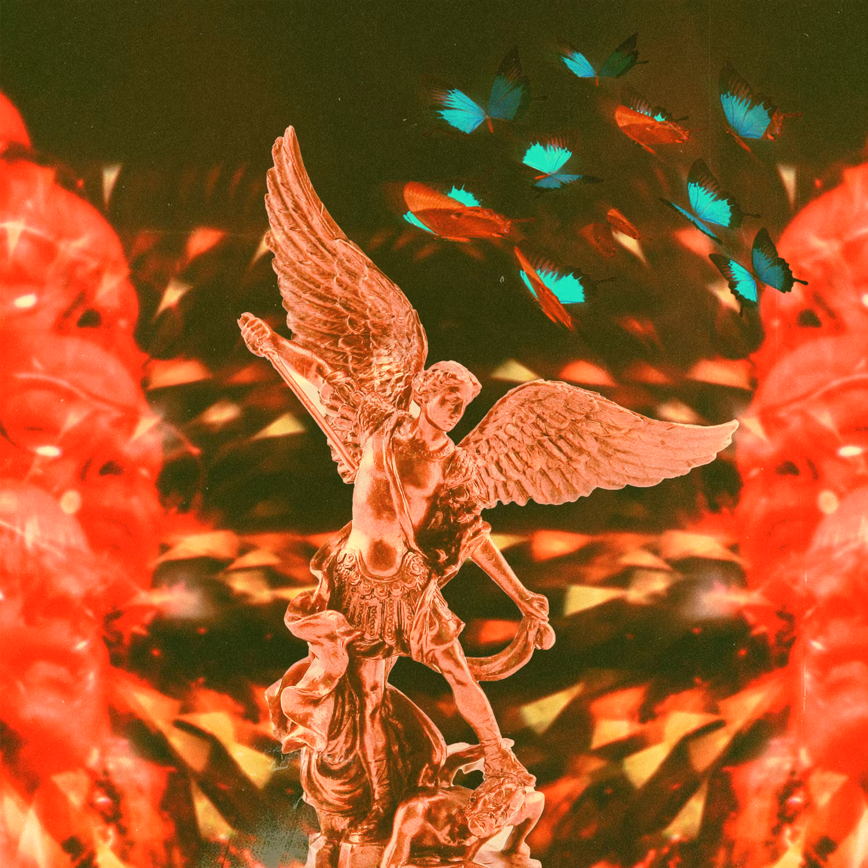 BVTTERFLY