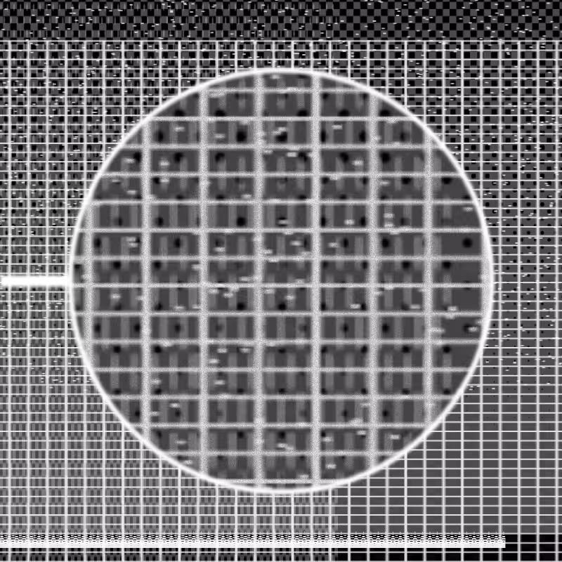 MICROSCOPY #10