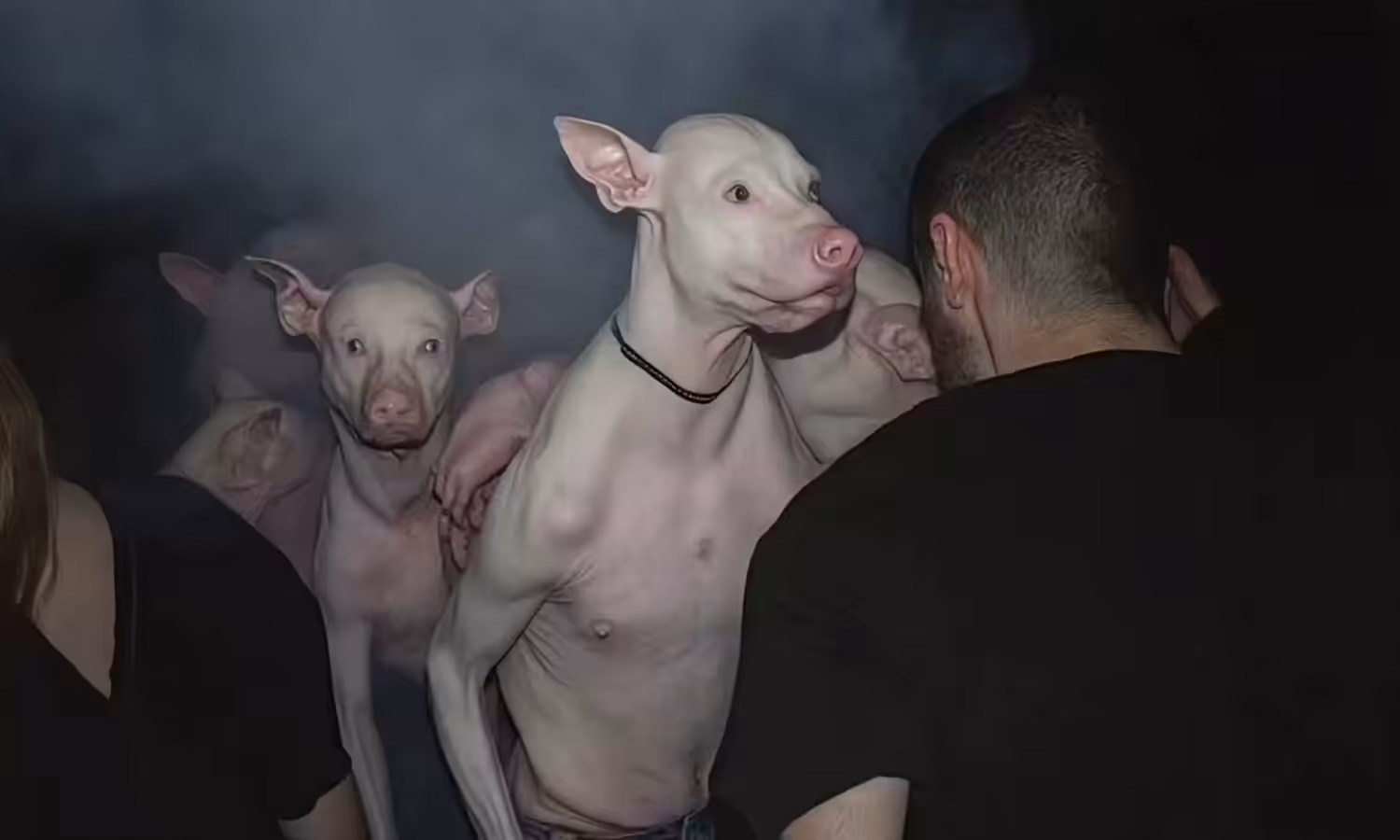 TECHNO PARTY EDITION