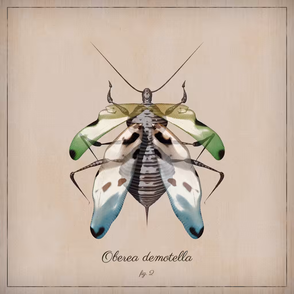 ProcGen Entomology #61