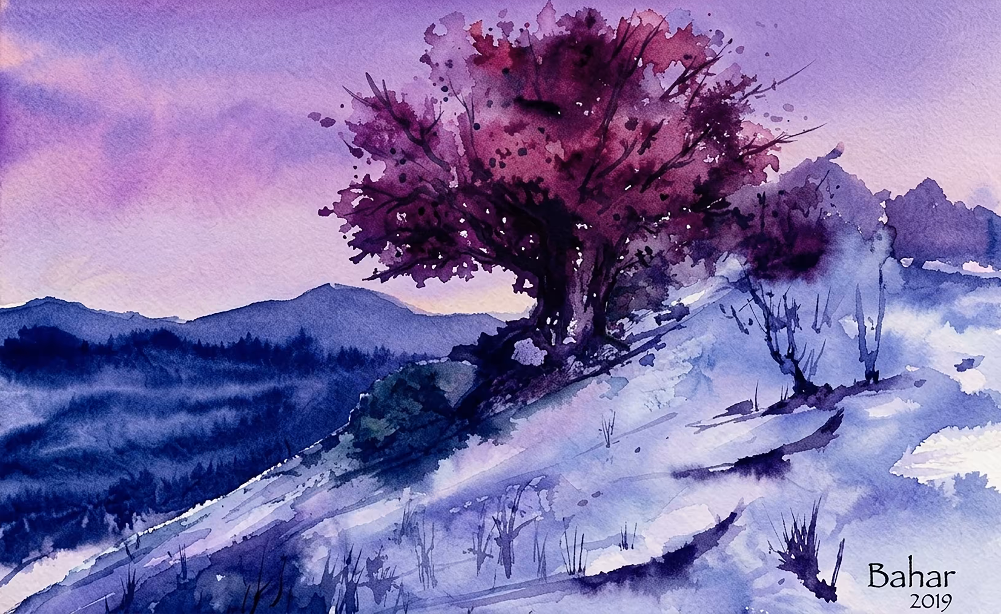The Lonely Tree 
