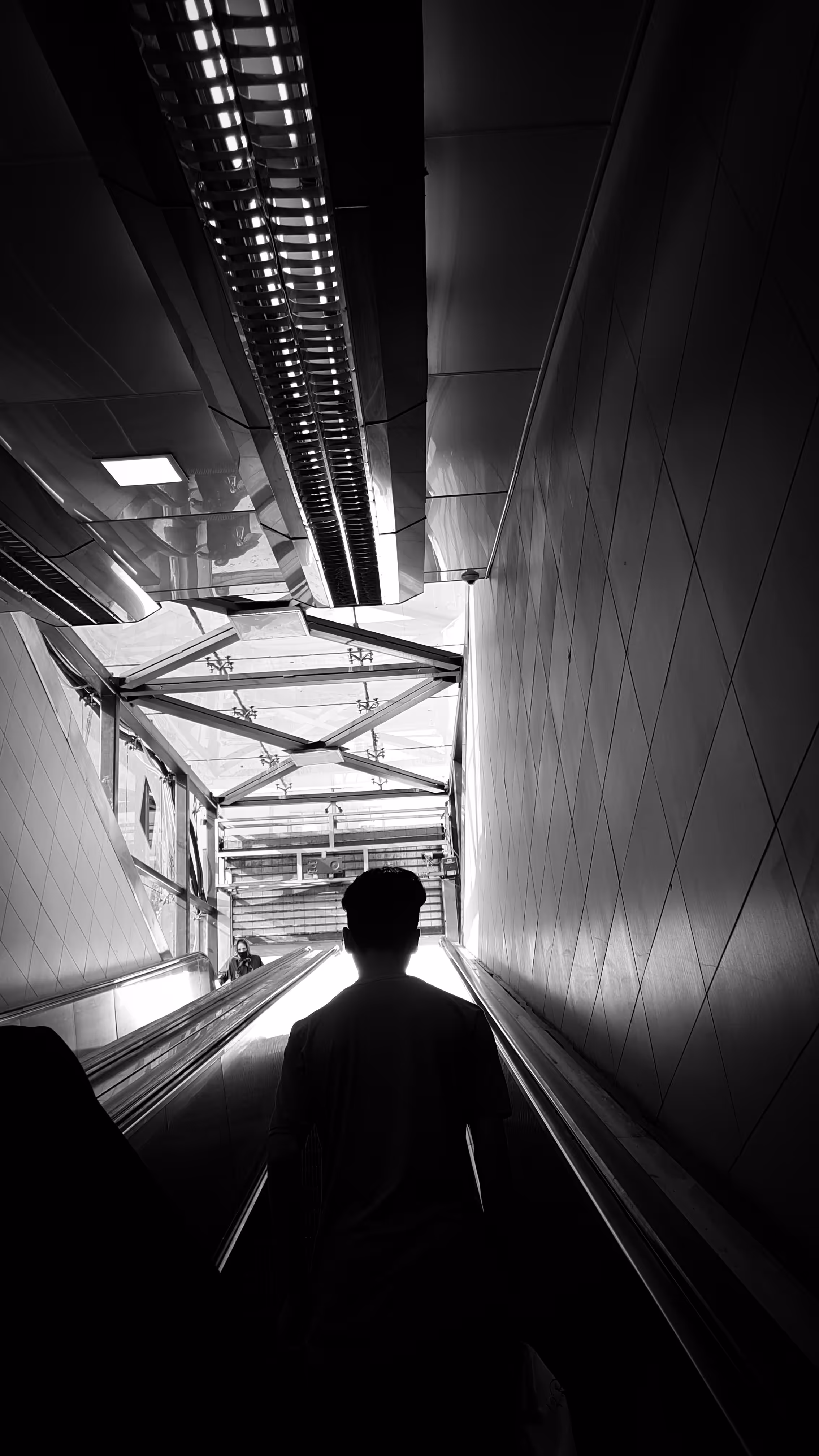 Roam in the city