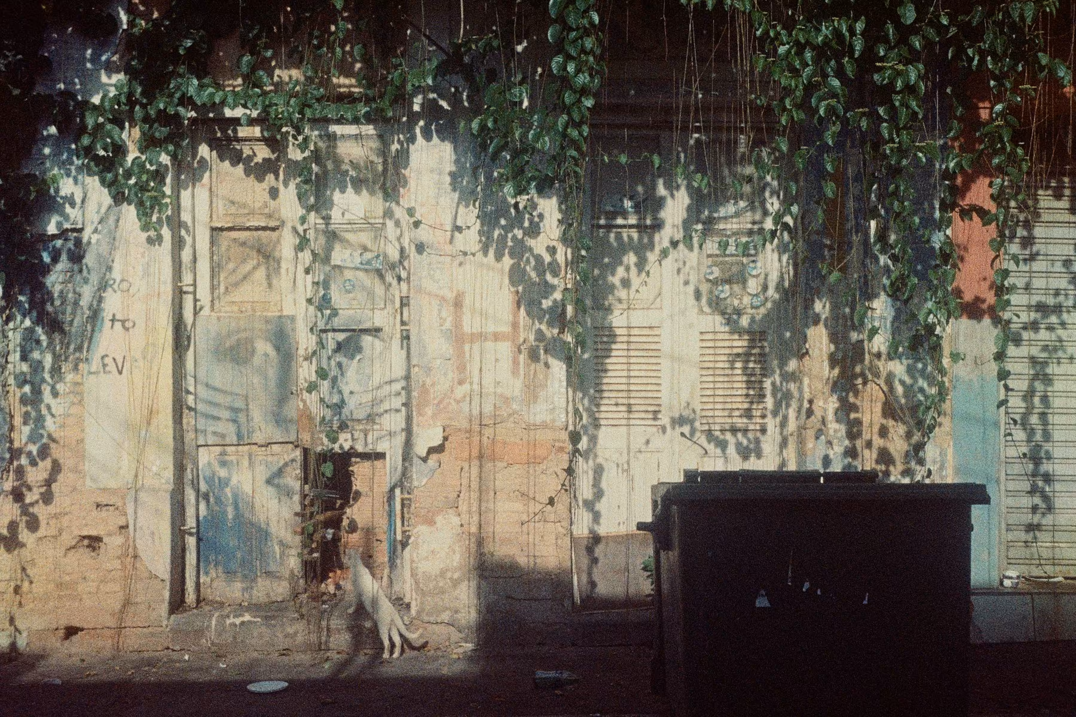 forgotten doors