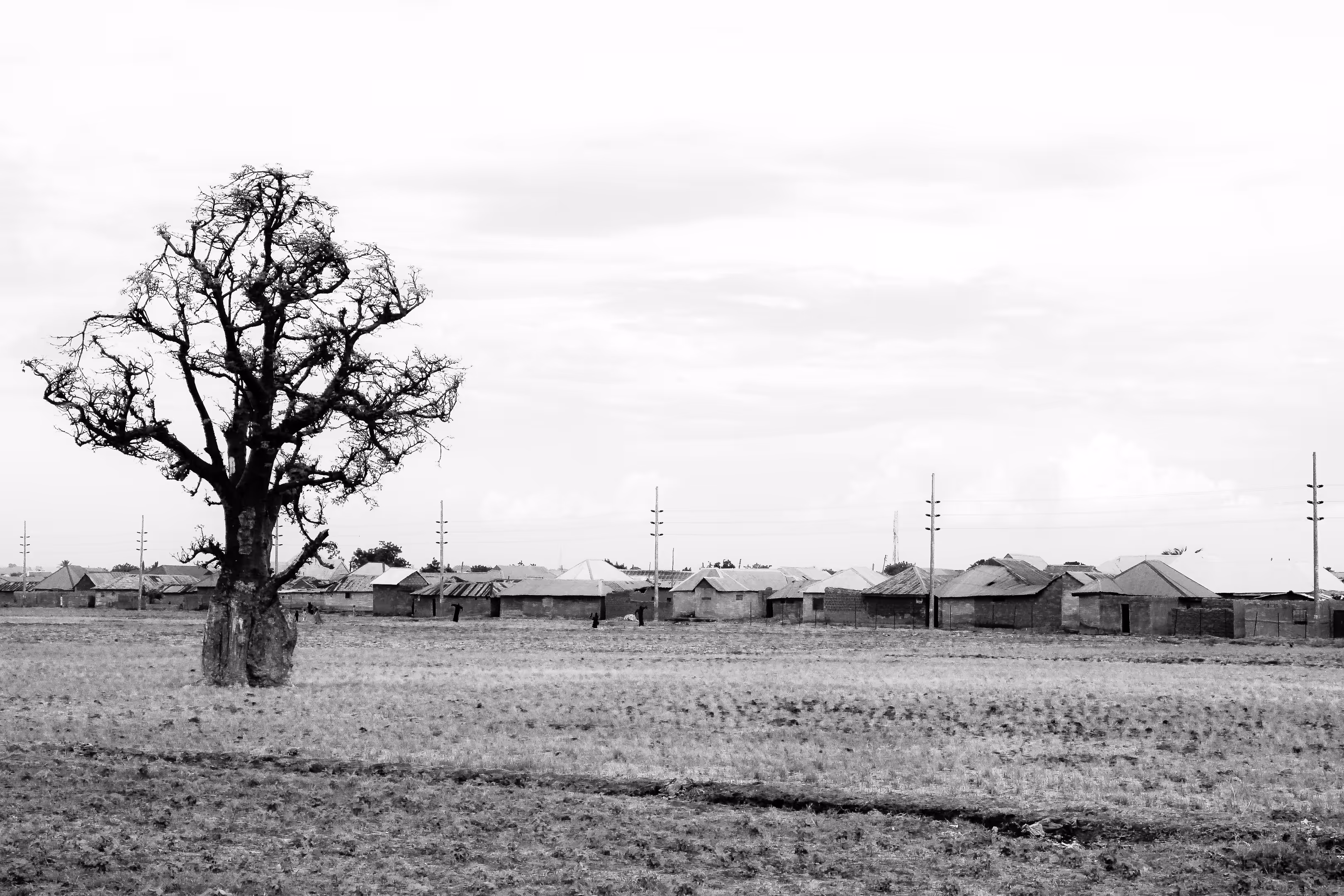 Sacred Fields