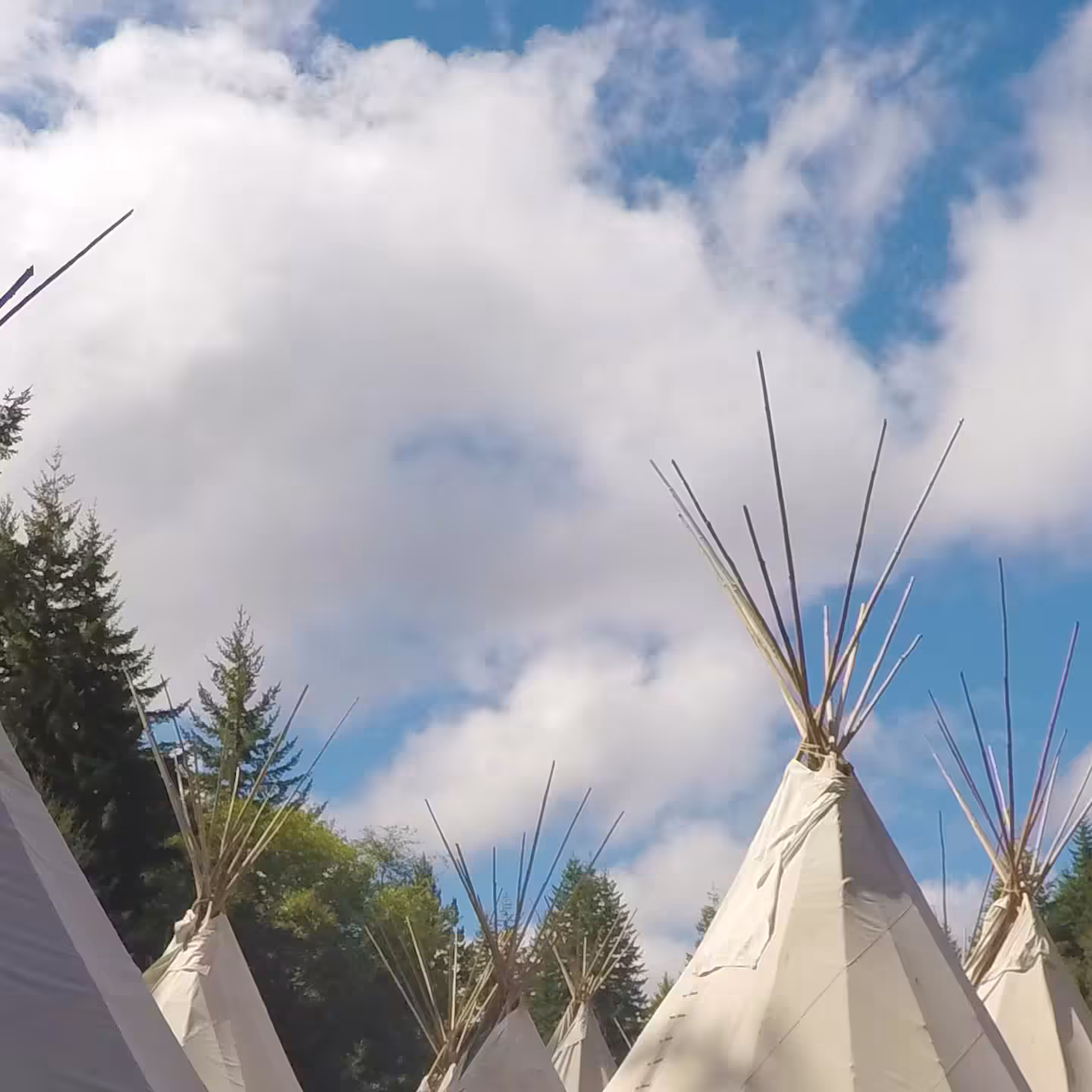 Tee Pees 2