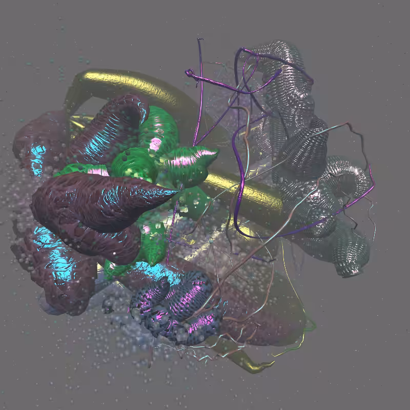Glomularus #202