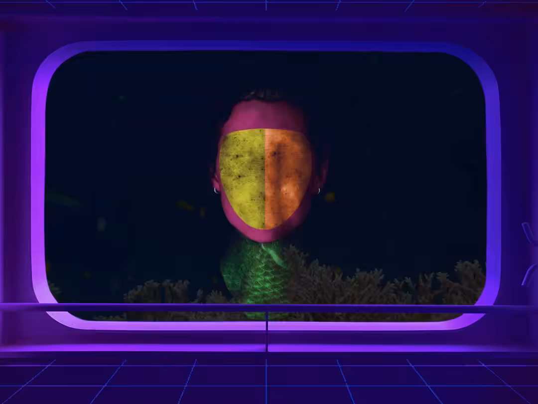 Weird Window Fish