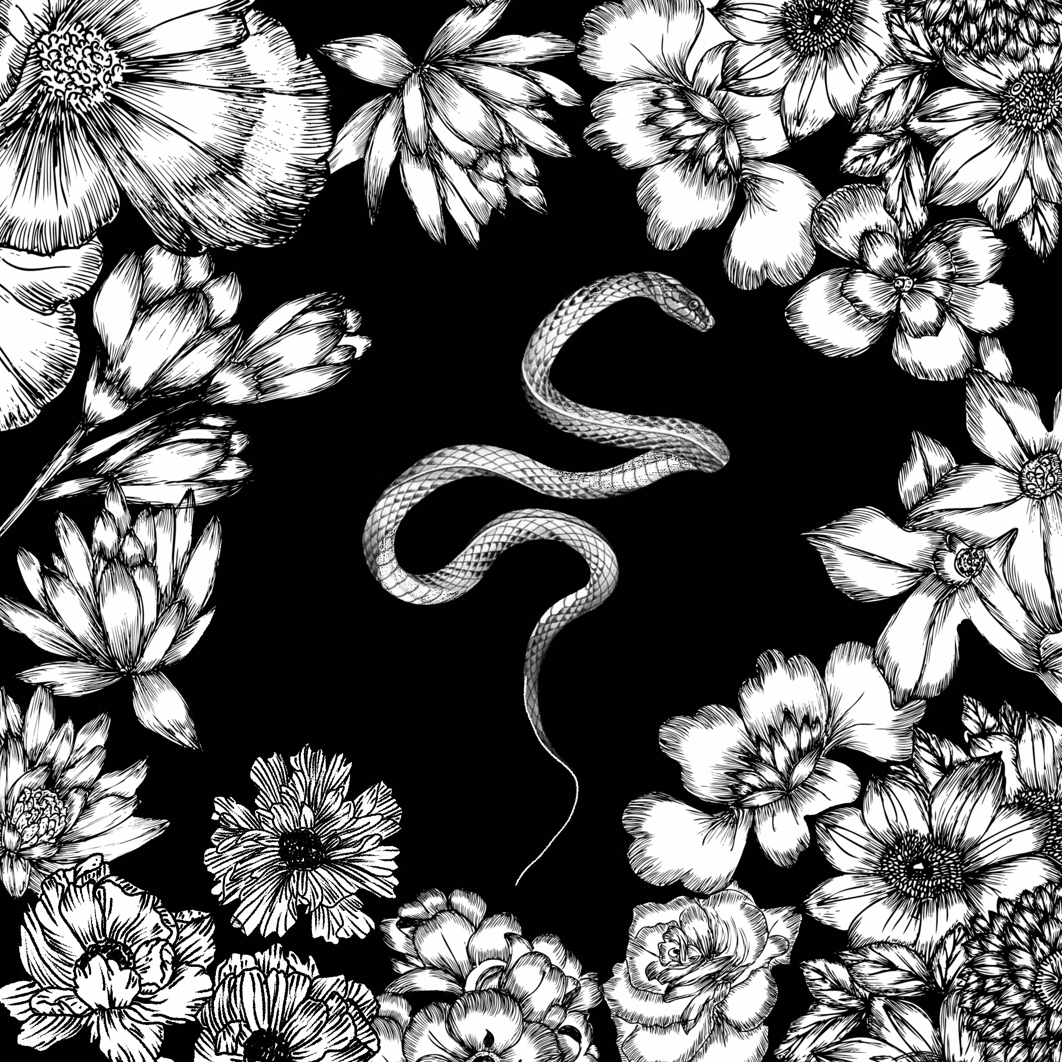 Snakes of Eden