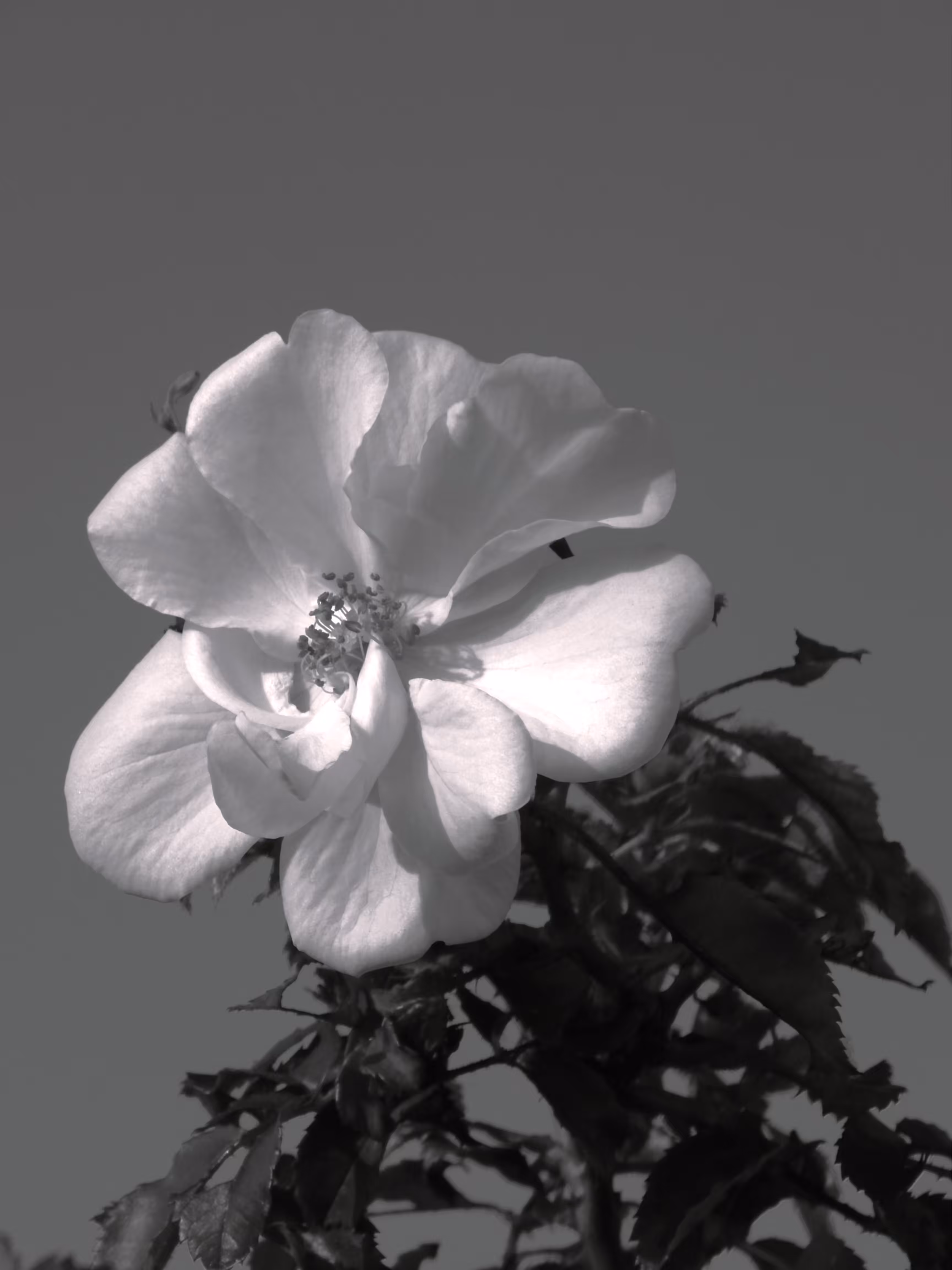 Standing alone
