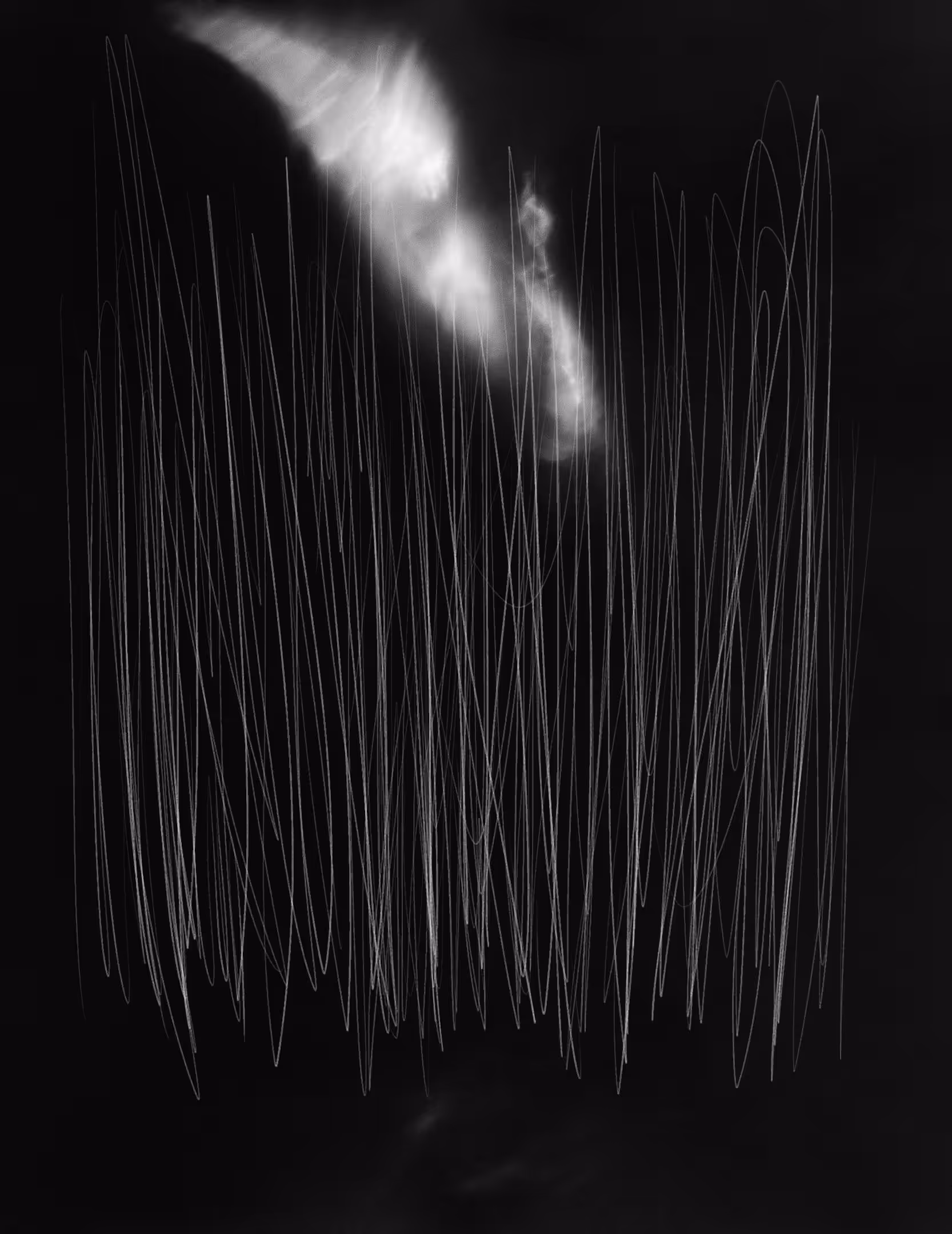 Experimental No.3 #8816