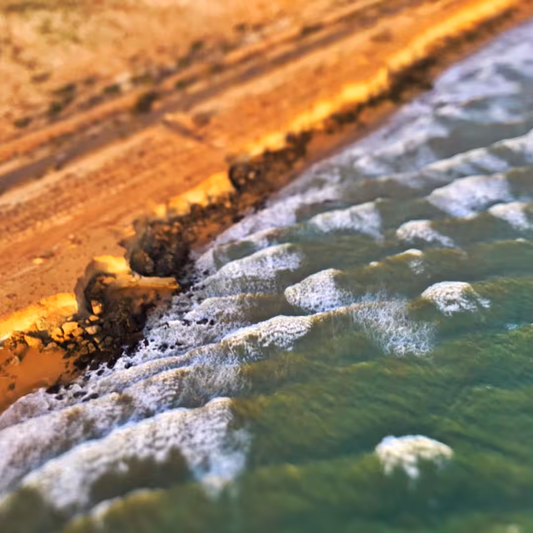 Sea dance
