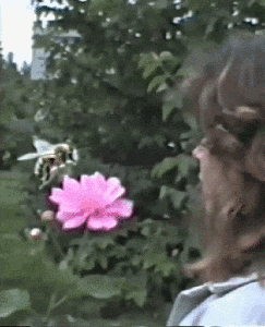 VHS til infinity: Protect the Bees