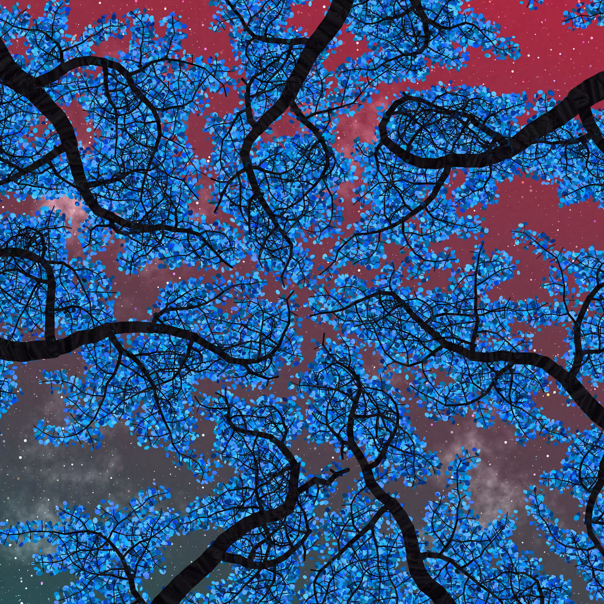 Tree Skyness #163
