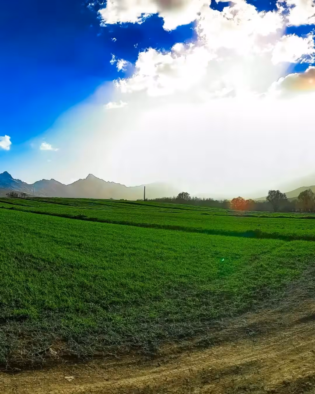 Heavenly Canvas