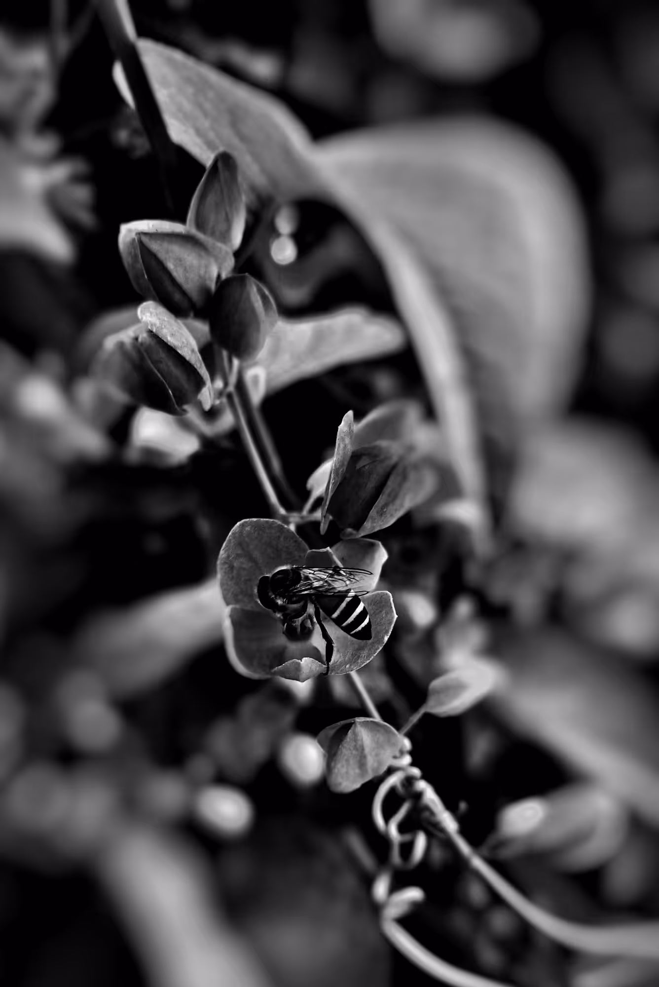 The mood_4