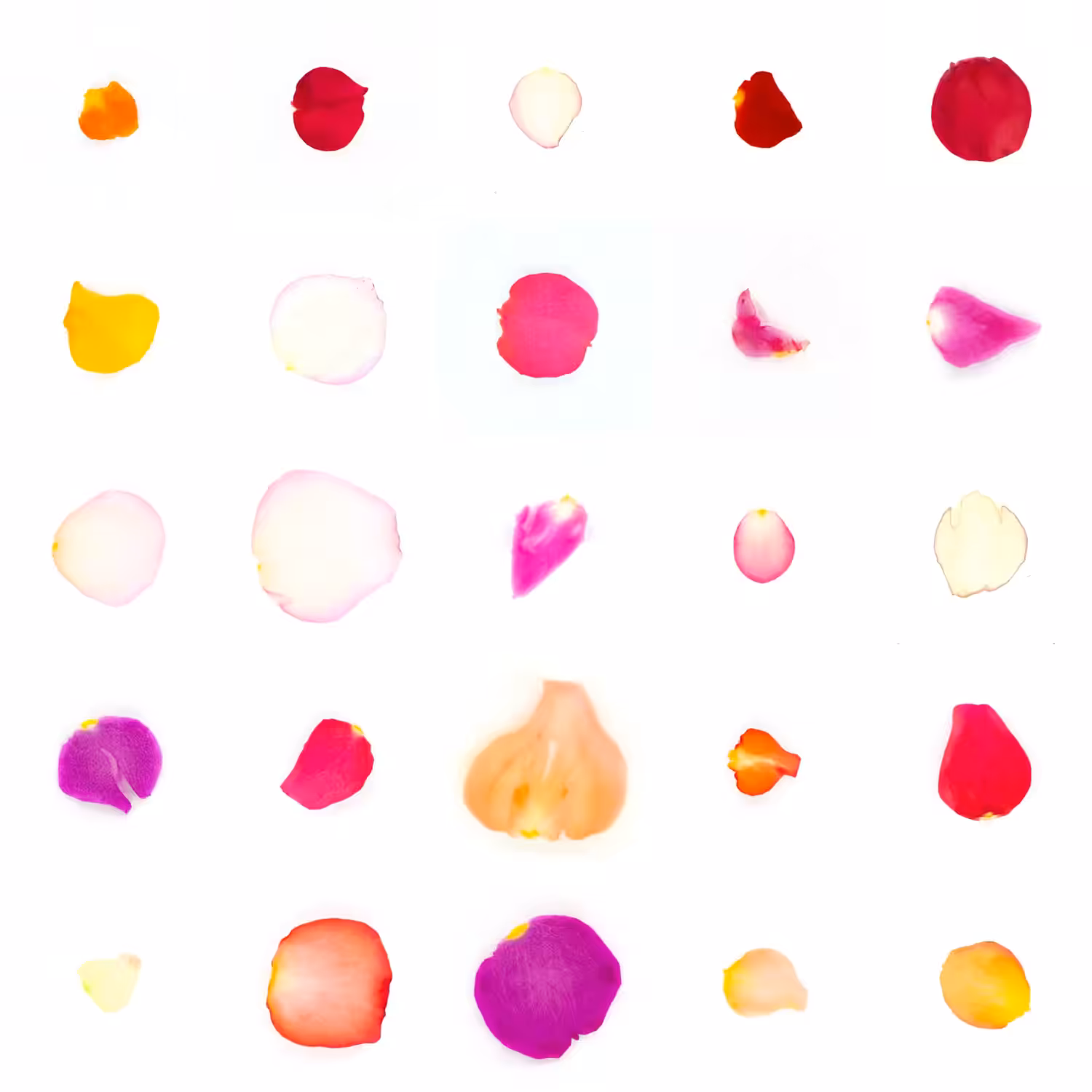 Infinite Petals 5x5#21400