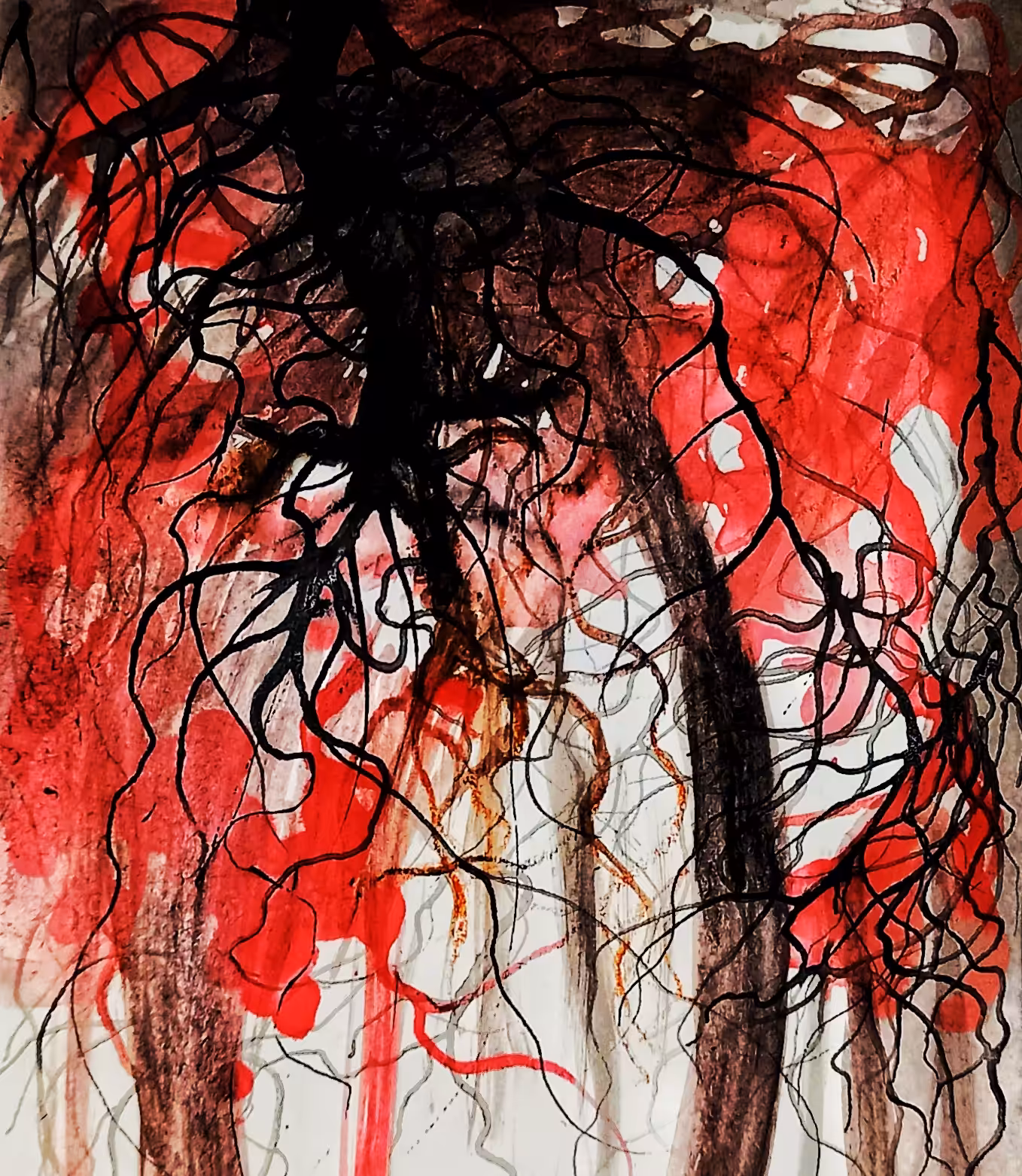 LIVE roots