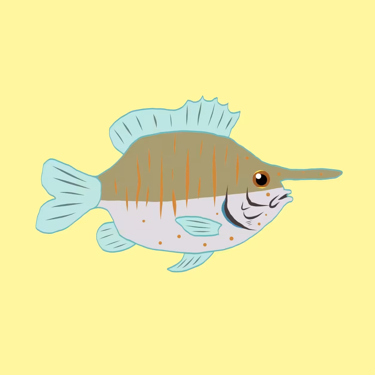 Ruby the blue unicornfish 