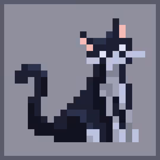 Cat#12