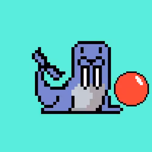 Walrus 16