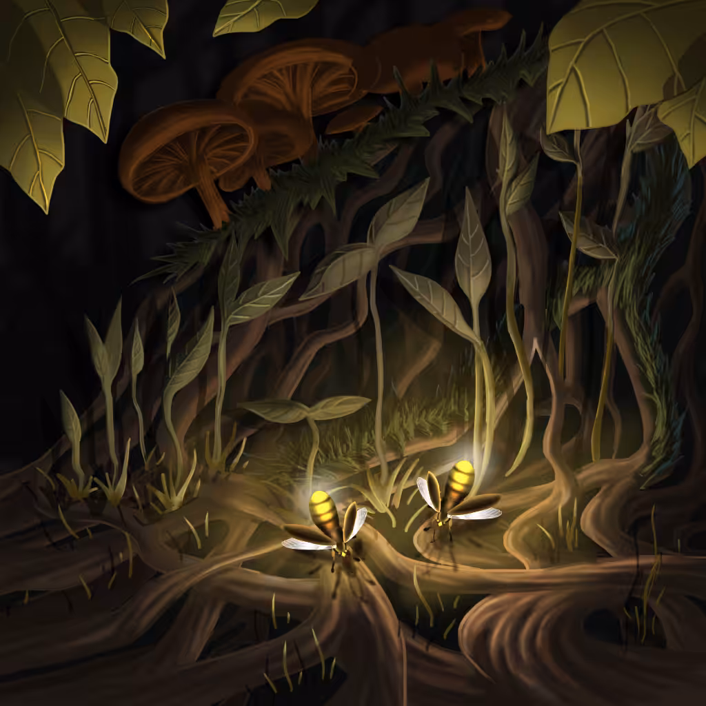 Fireflies