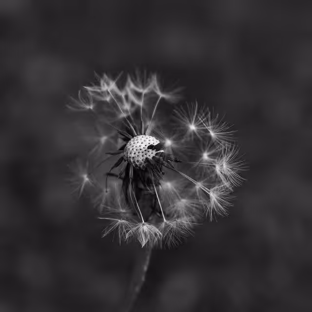 Pohooty #005