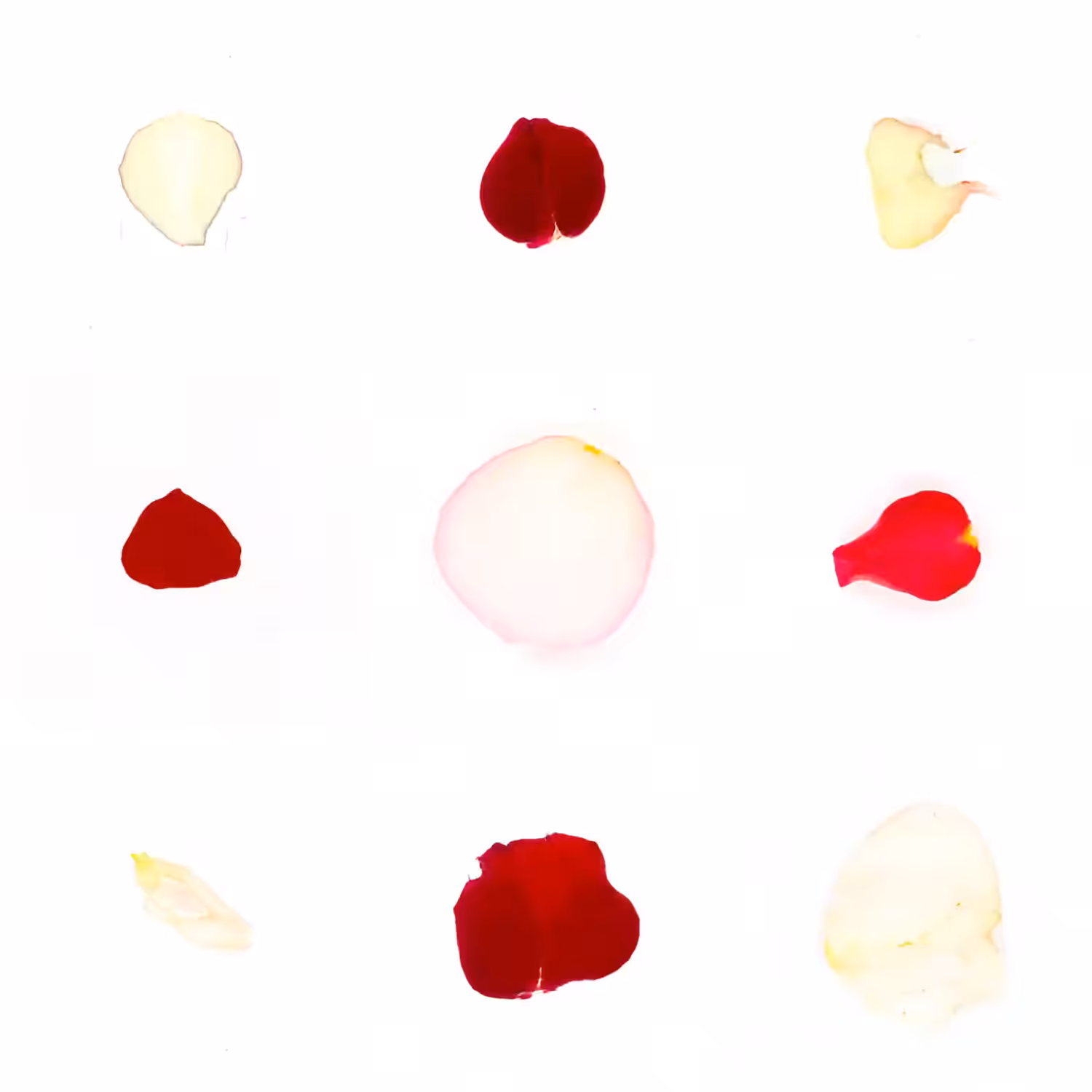 Infinite Petals 3x3#3727