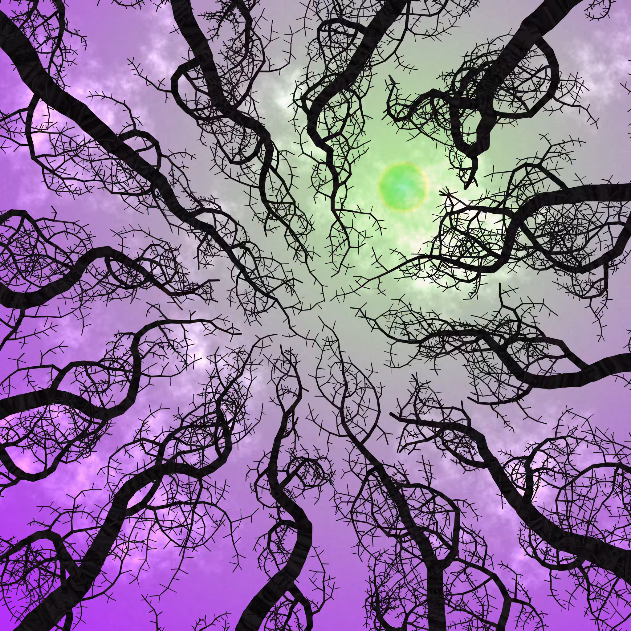Tree Skyness #127