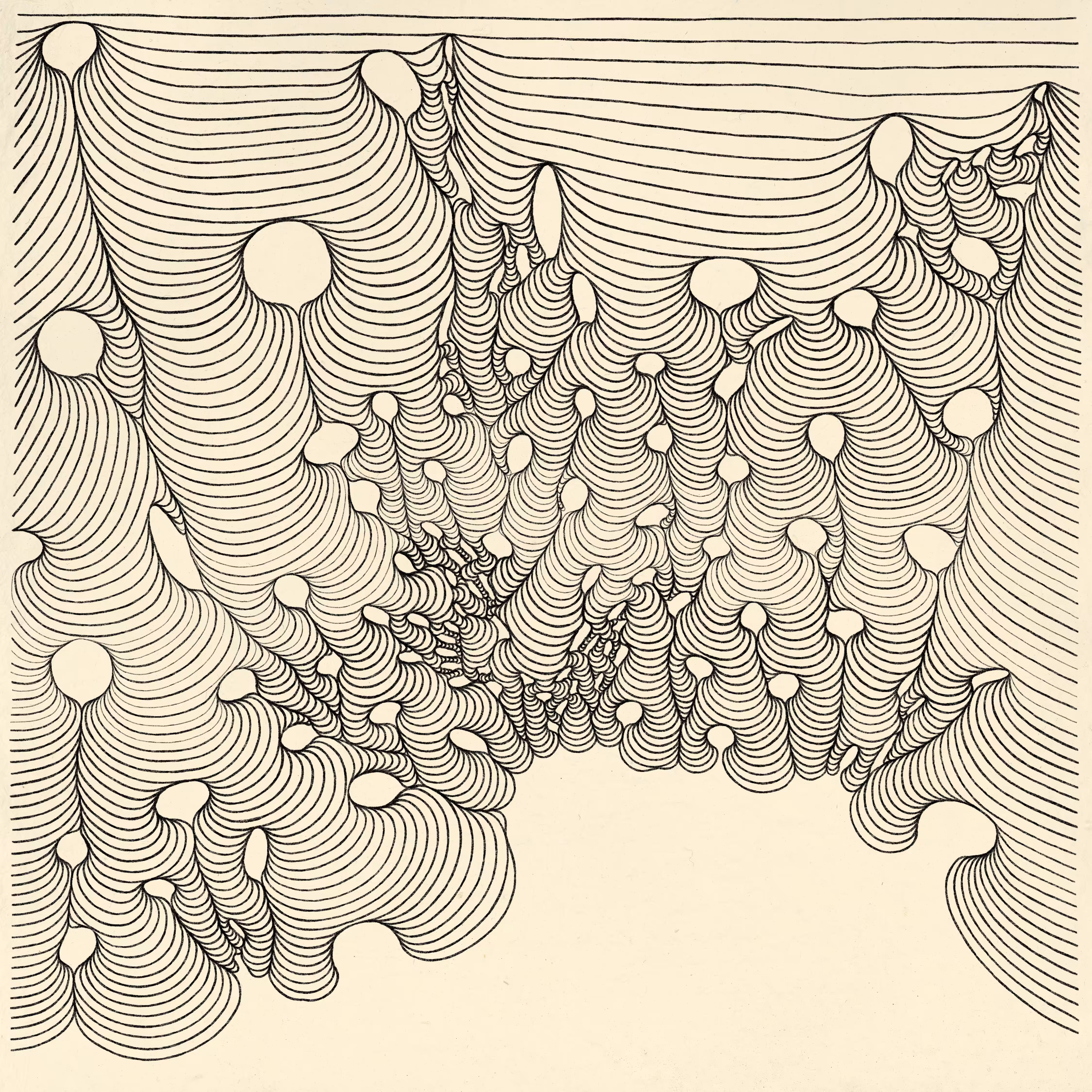 Fields: Field 11