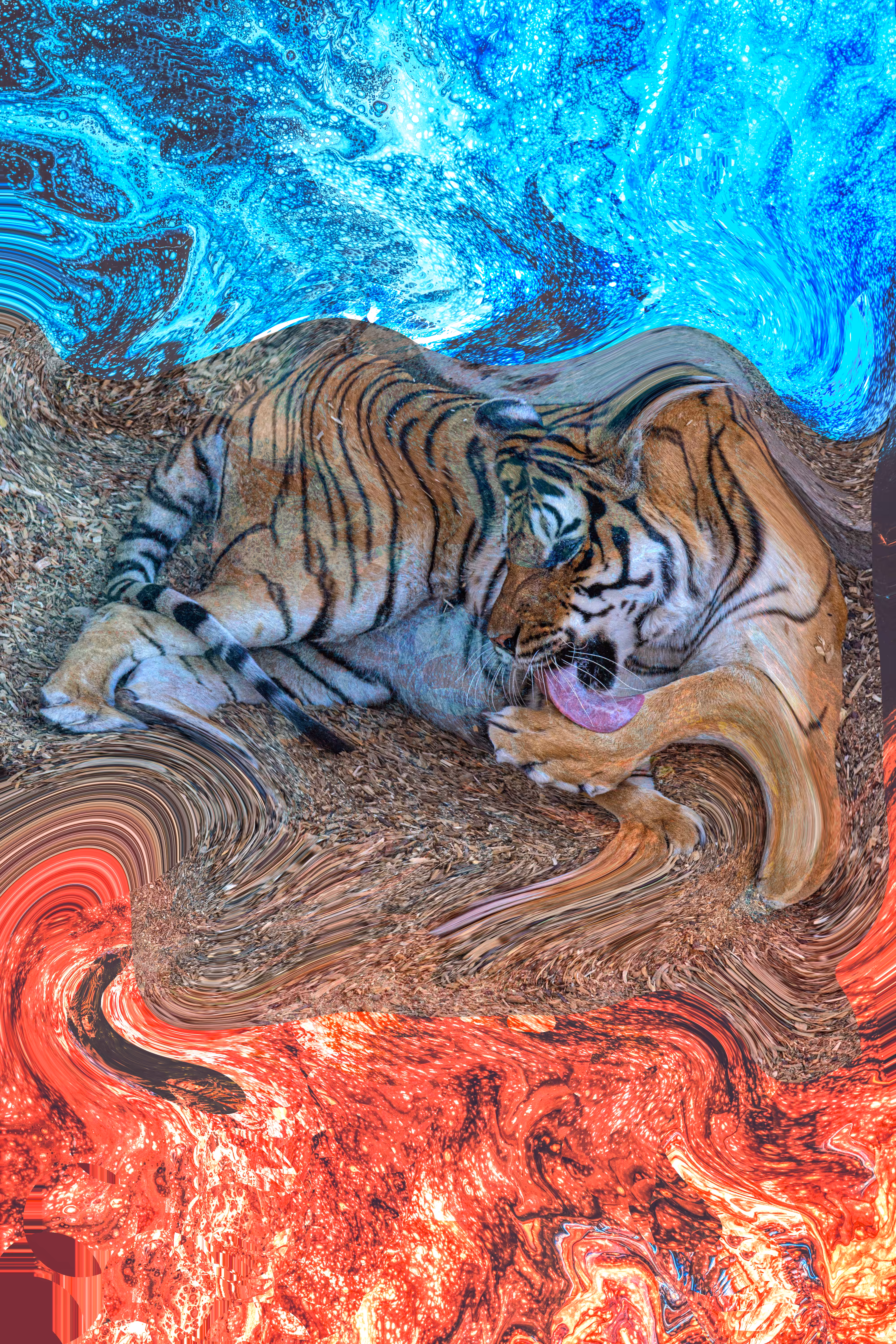 Tiger Fire & Ice
