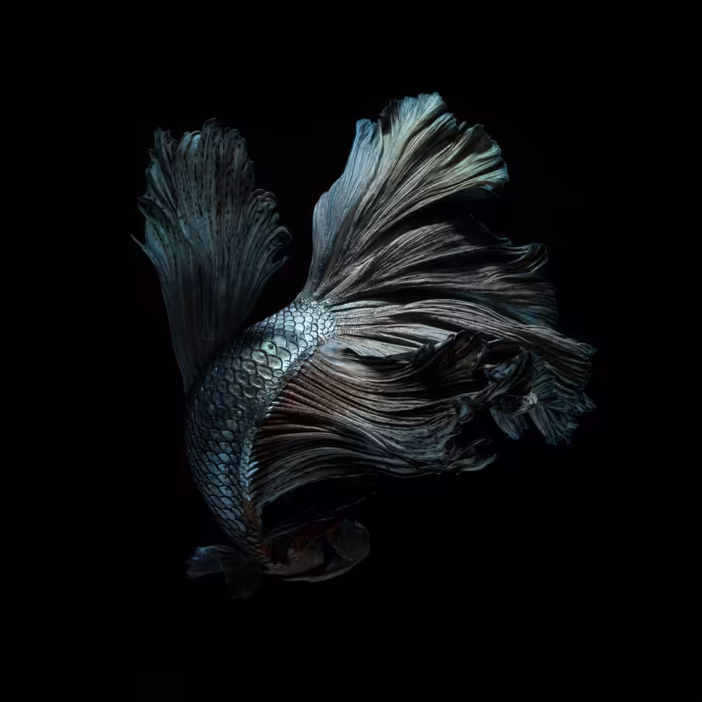 Metallic fish