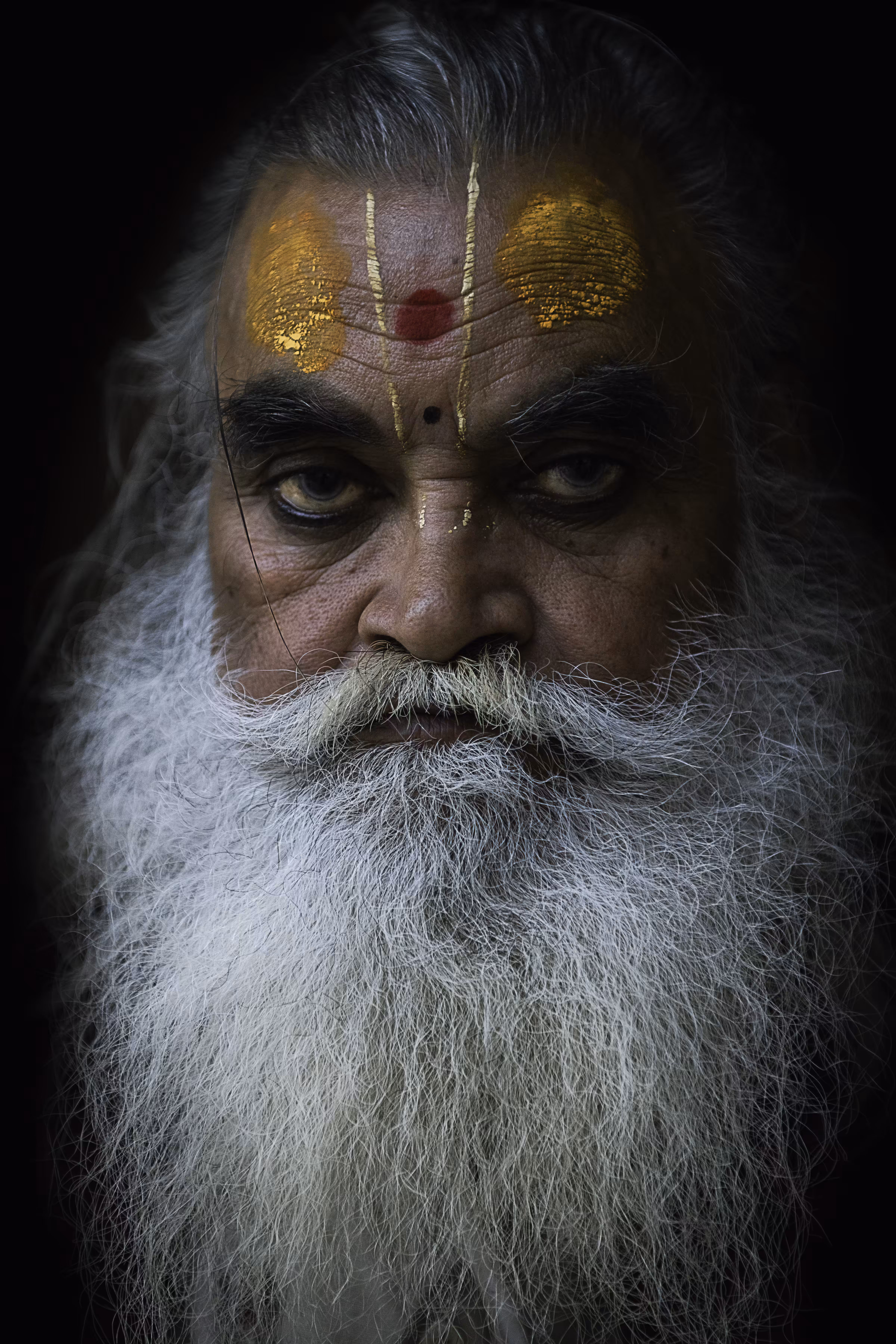The Noble Priest 