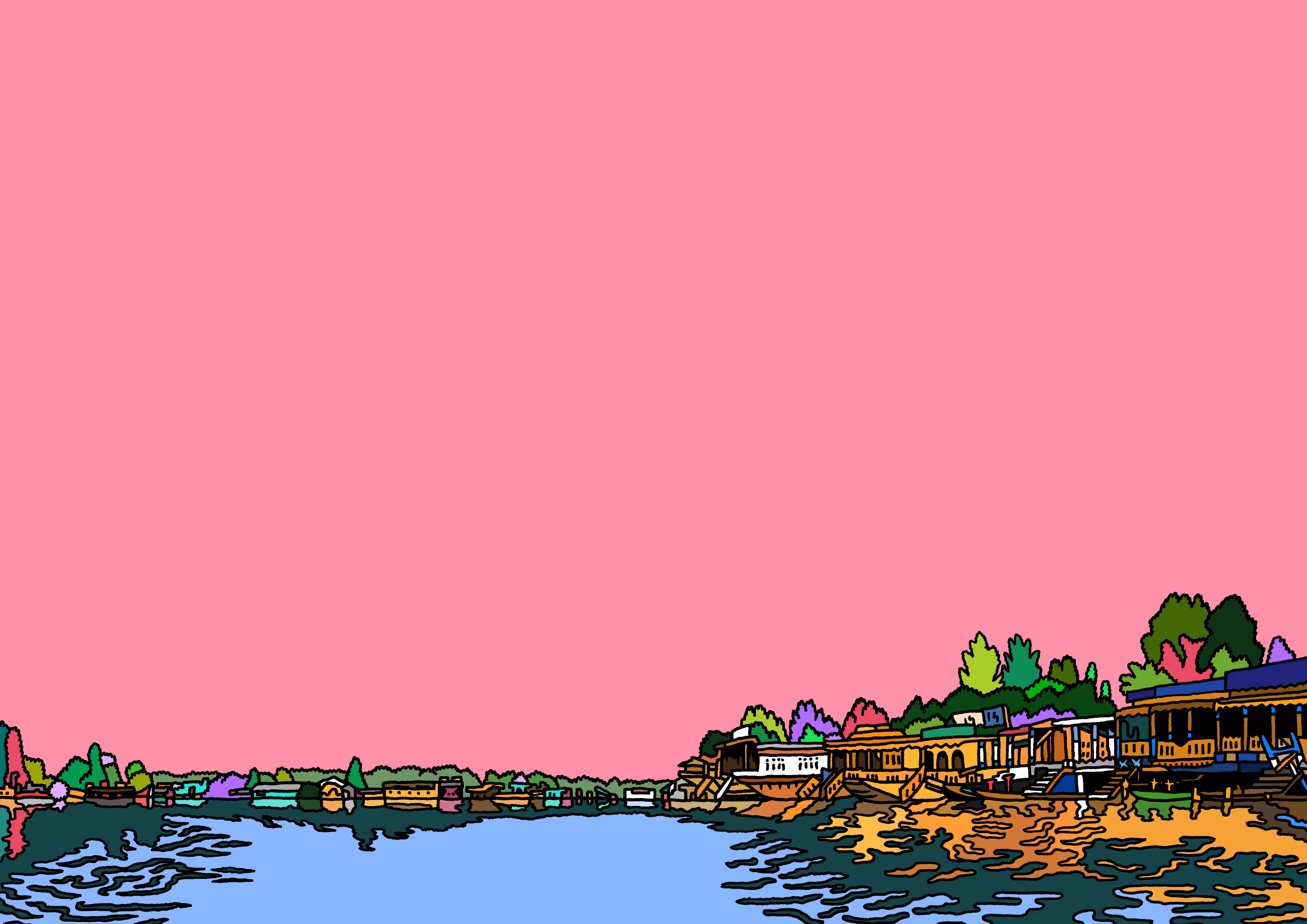#45 Dal lake