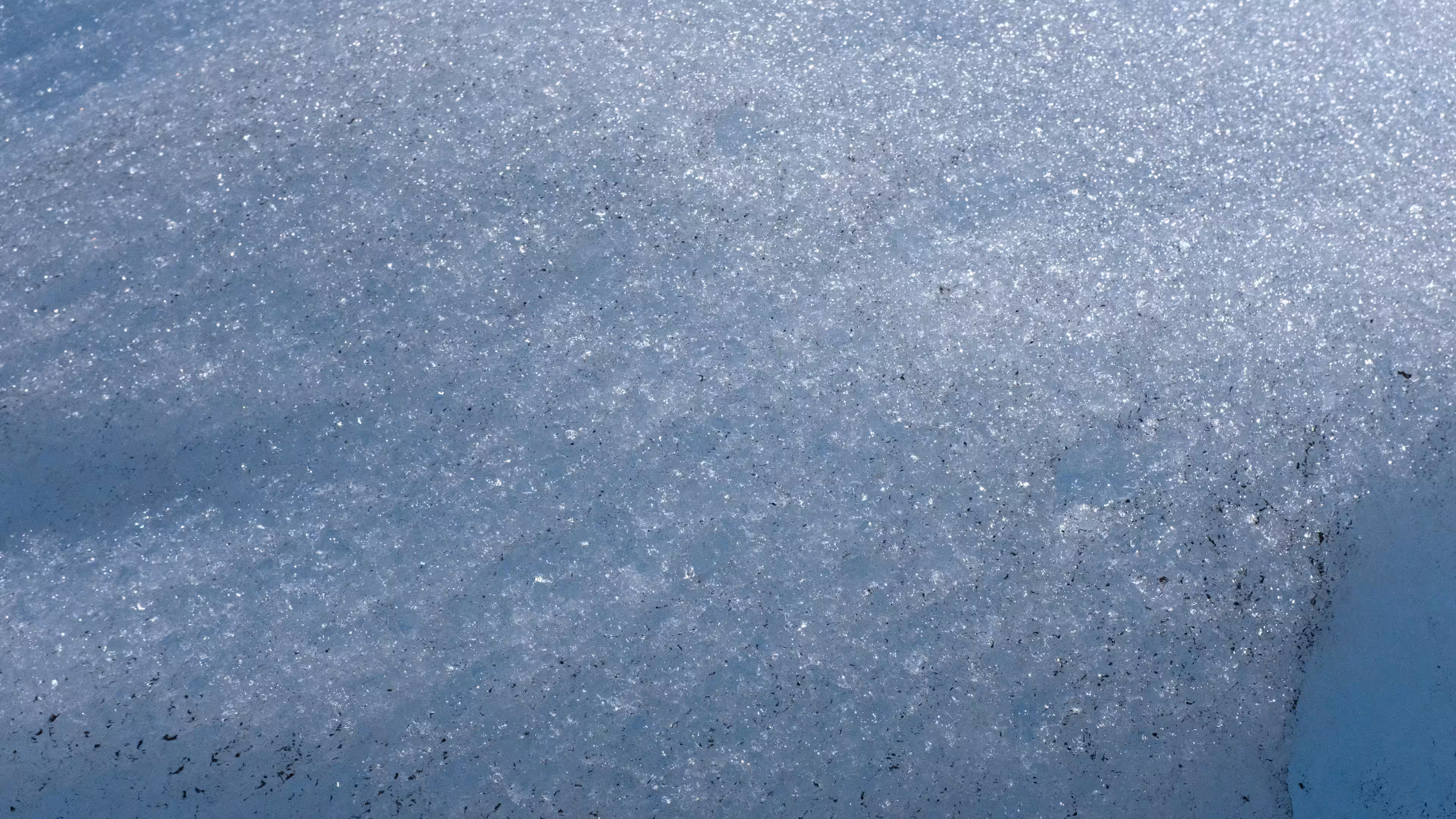 What time is it in Antarctica ?
