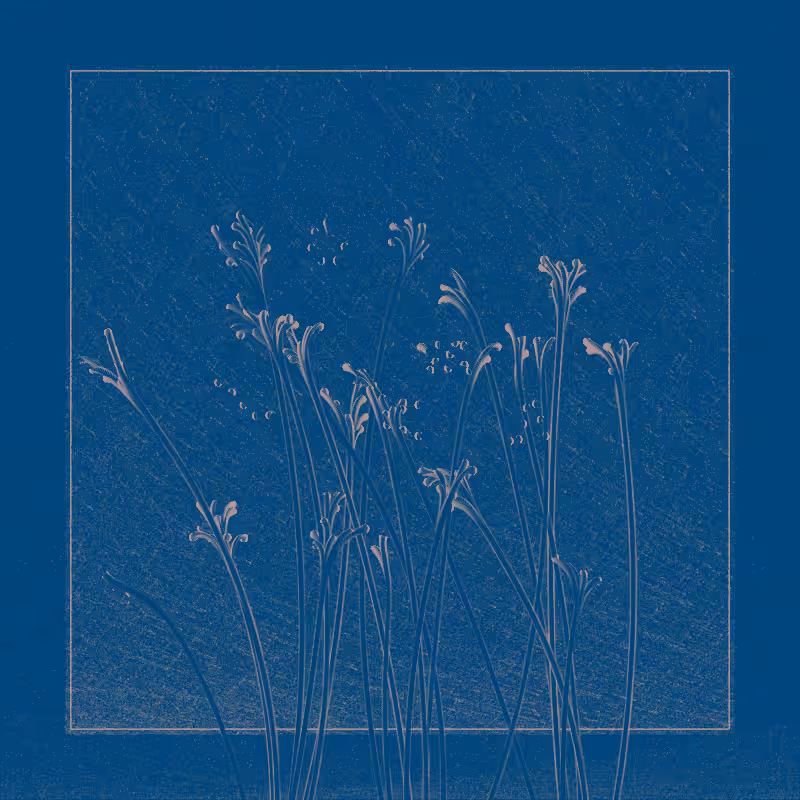 string_pllu #8