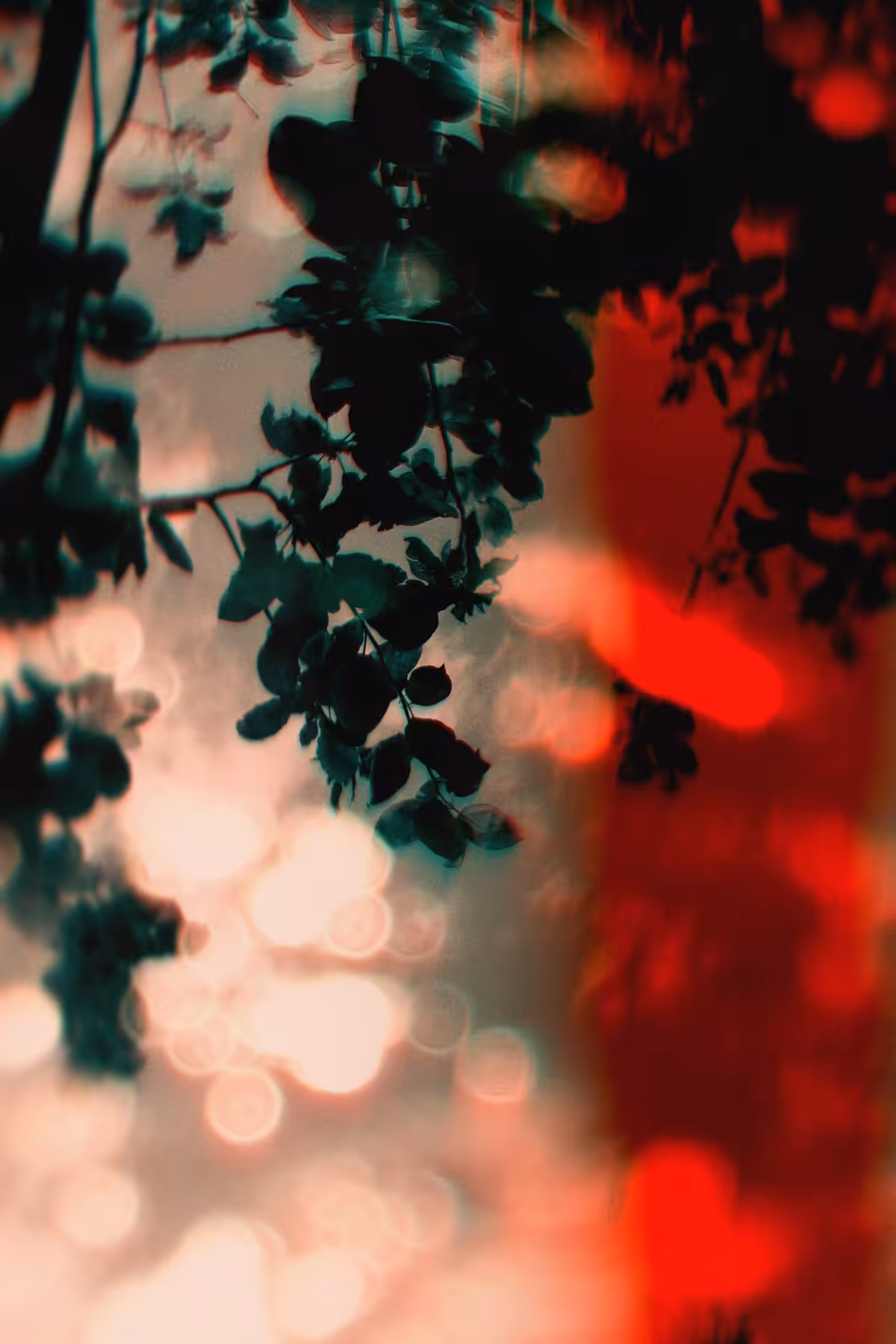 Diaries #45
