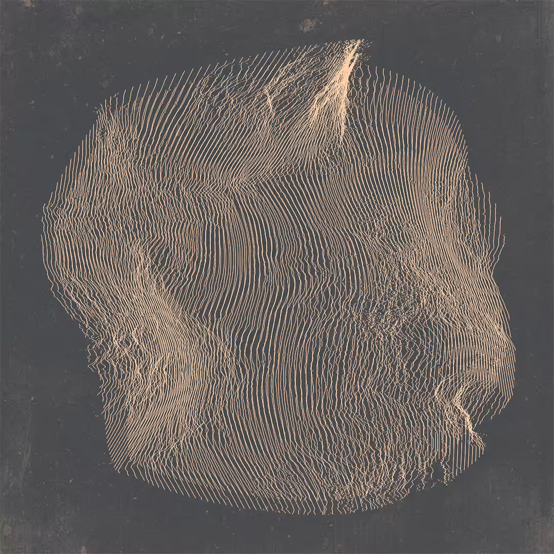 interference-04-06