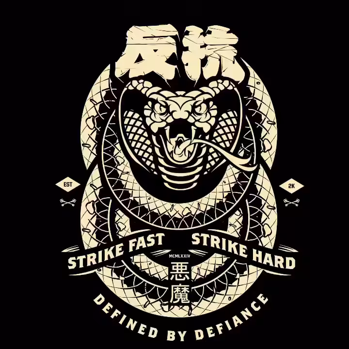 H74 Strike Fast / Strike Hard