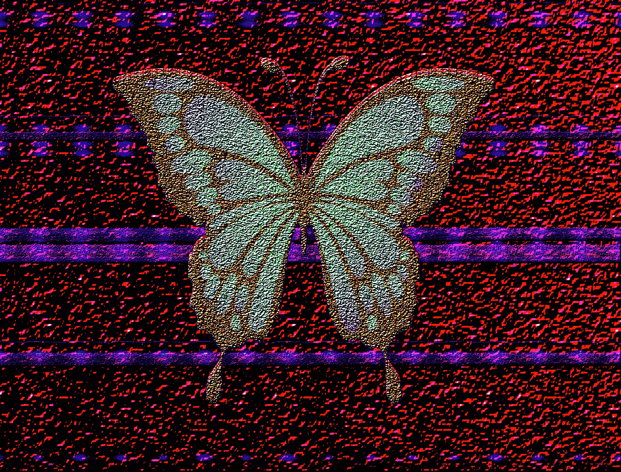 A Rare Butterfly 2k full square